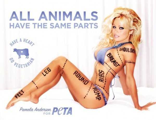PETA, werbesexismus