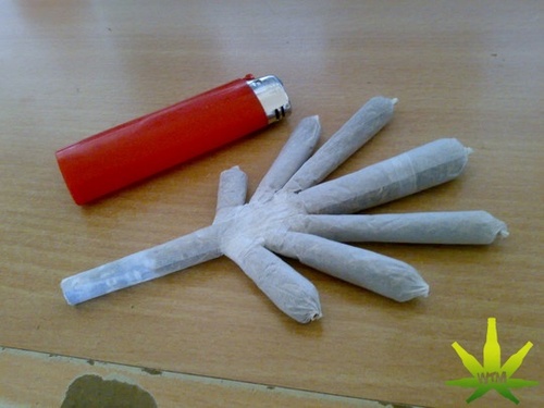 Hanfblatt Joint Blunt Gras