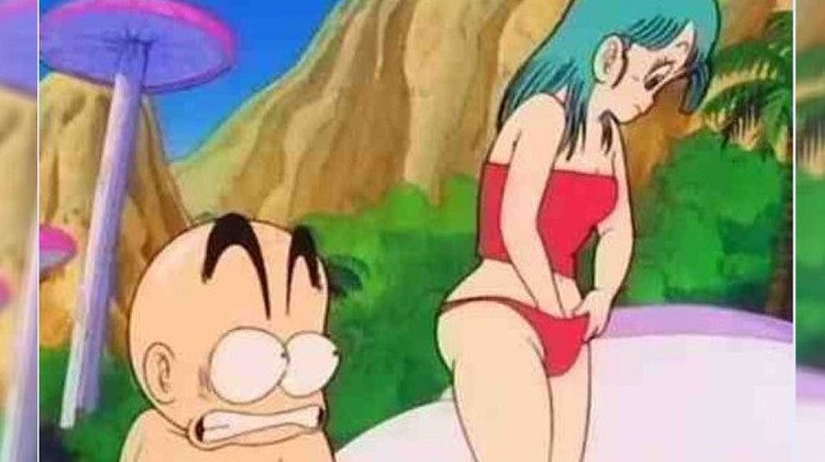 perverse cartoons anime dragon ball bulma slip