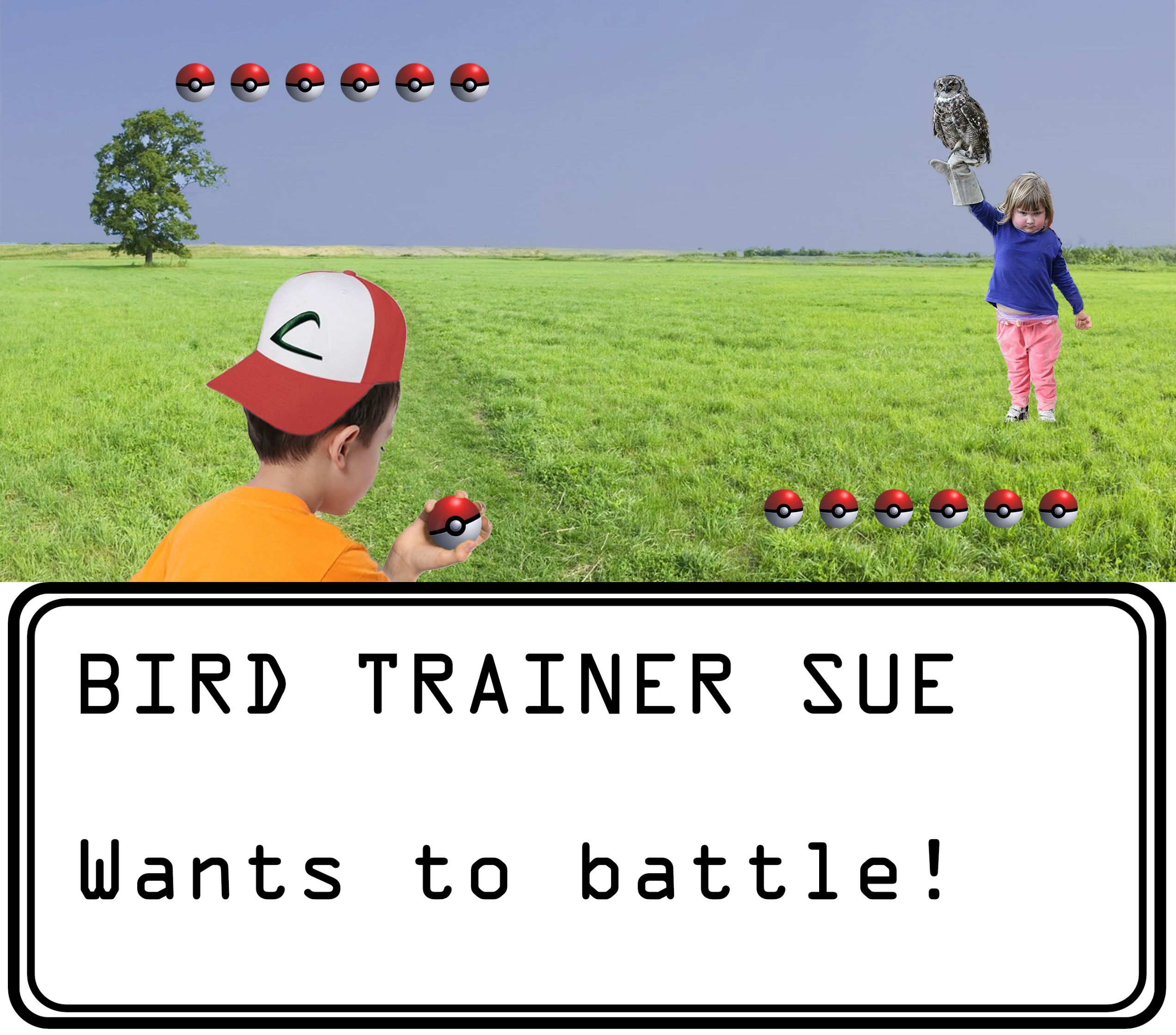 lustige spokemon bild reddit photoshop battle mädchen und die eule
