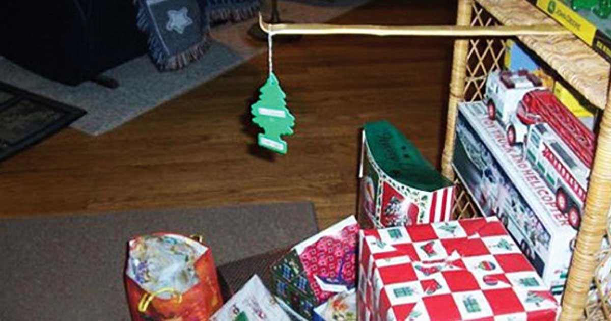 13 etwas andere weihnachtsb 228 ume einen punkt f 252 r 13 etwas andere weihnachtsb 228 ume einen punkt f 252 r