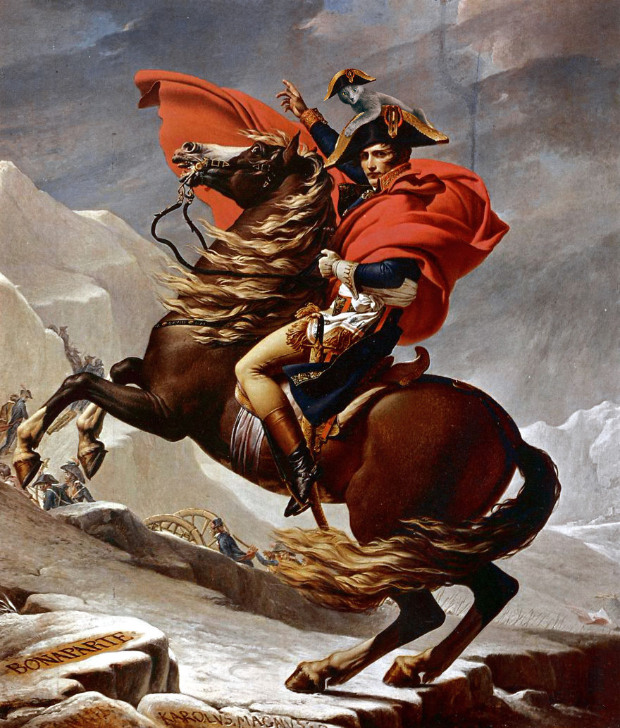 Eduard Cîrstea Katzen in Gemälde Bonaparte Alpen