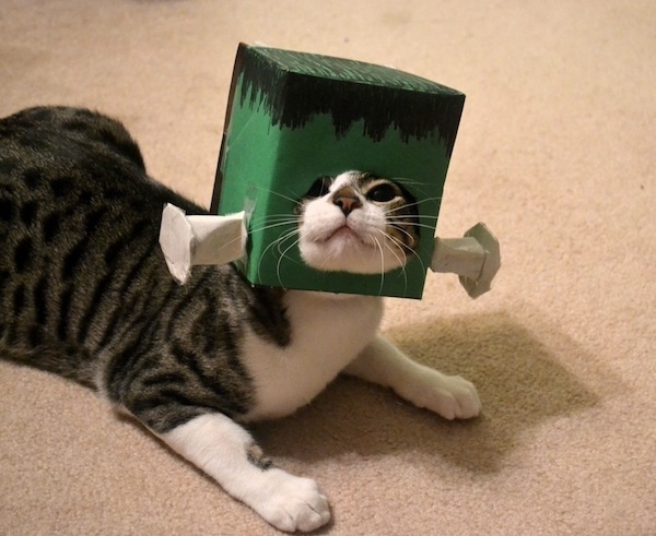 frankenstein katze kostüm