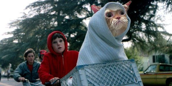 katze in der badewanne photoshop-challenge e.t.