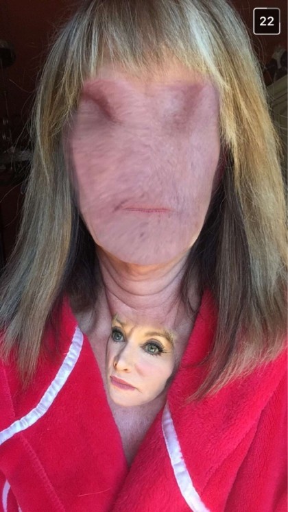 lustige face swaps auf snapchat