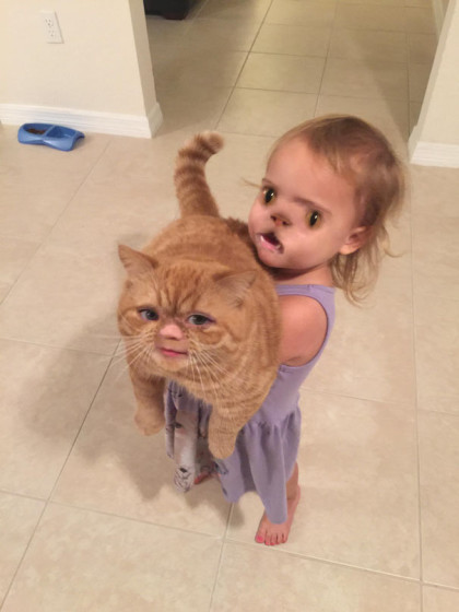 lustige snpachat face swaps kind katze