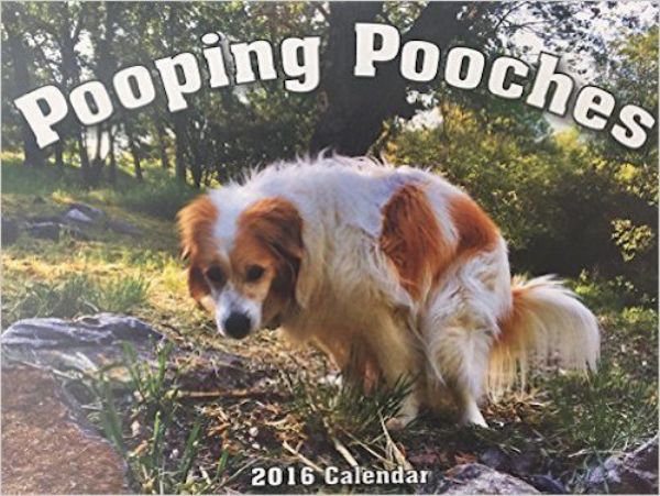 Seltsame Kalender poop 2016