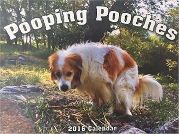 Seltsame Kalender 2016 Kackende Hunde und lachende Nonnen SLEAZEMAG