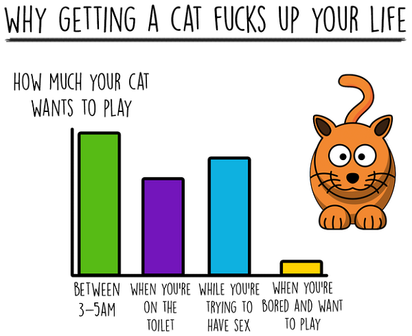 Alex Finnis / BuzzFeed statistiken über das leben mit katzen