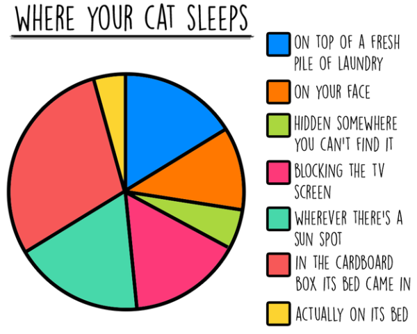 Alex Finnis / BuzzFeed statistiken über das leben mit katzen