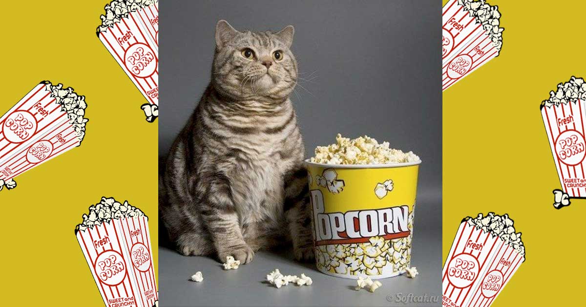 Filmklassiker Liste Filmklassiker Liste