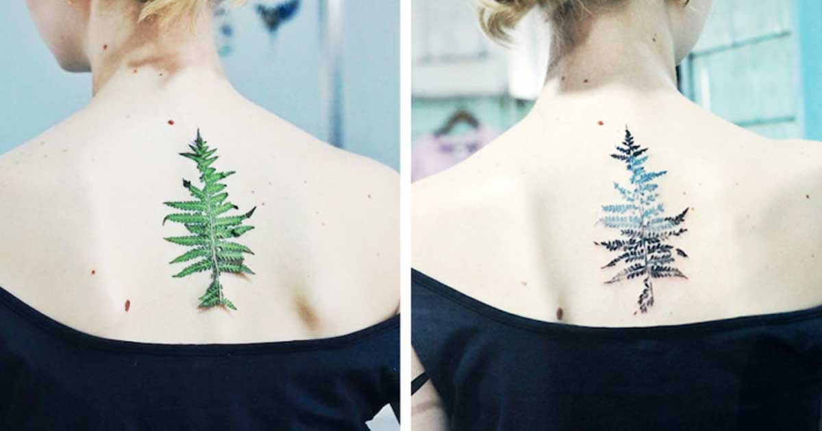 Natürliche Schönheiten Pflanzen als Vorlage für Blatt Tattoos SLEAZEMAG