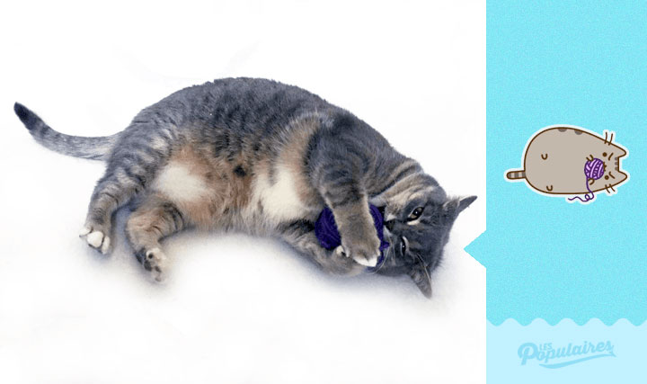 pusheen_2