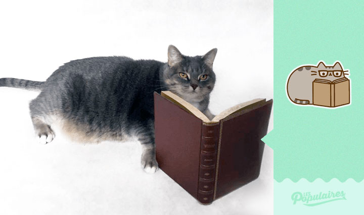 pusheen_3