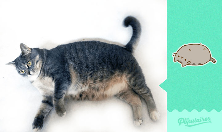 pusheen_5