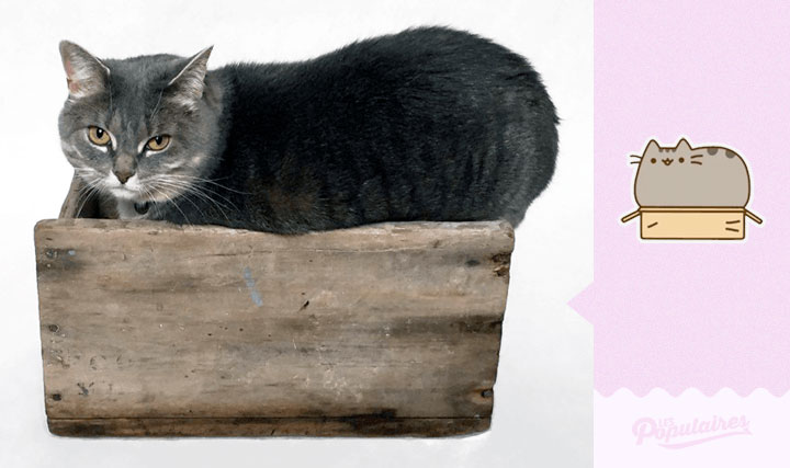 pusheen_8