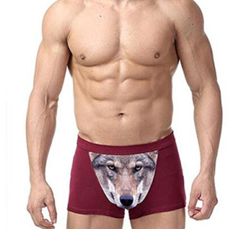 Wolf Boxershorts für den penis 3D