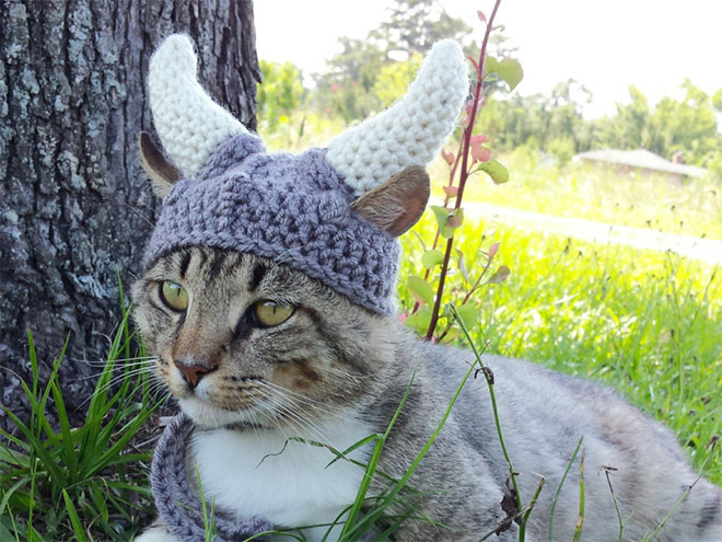 wikingerhut für katzen
