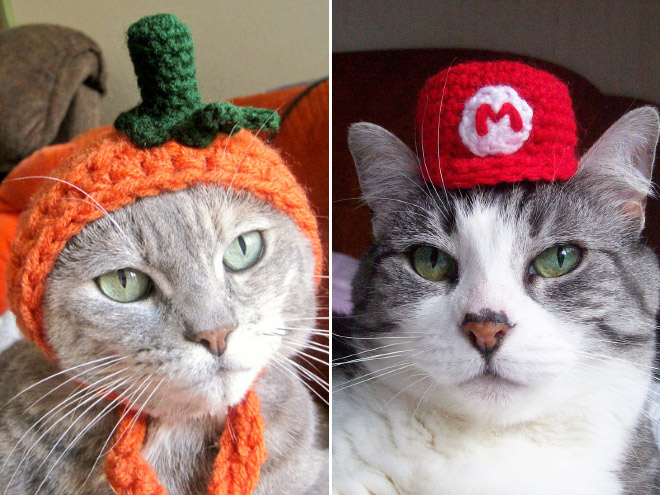 handmade monster hüte für katzen gehäkelt
