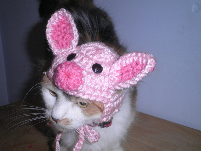 fancy horse häkelmützen für katzen schwein süß witzig geschenkidee