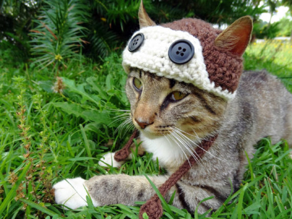 iheartneedlework häkelmützen für katzen