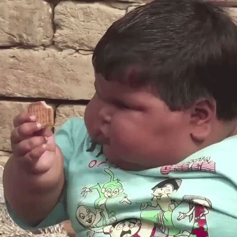 fat child cant decide wich cookie