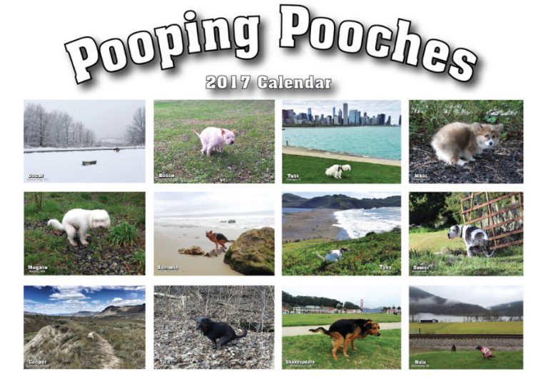 Der Kackende Hunde Kalender zum Scheißen schön! SLEAZEMAG