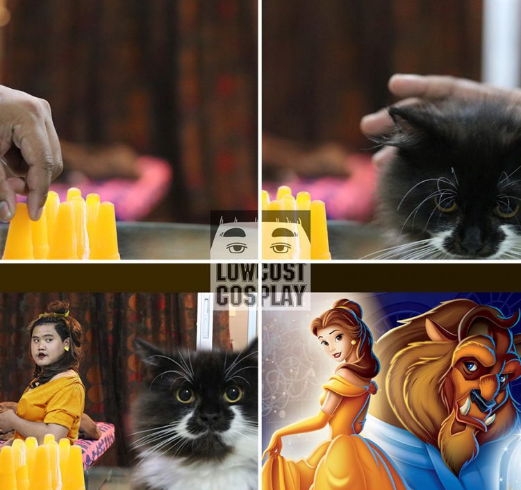 low-cost-cosplay-anucha-saengchart-11-58170ba4279ae__880