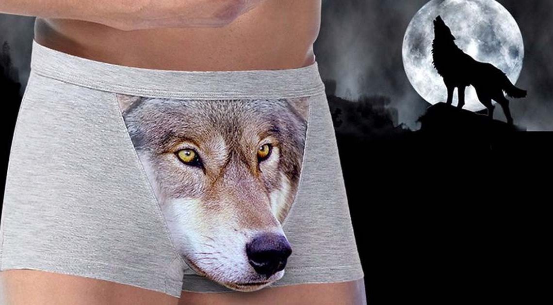 penis-wolf-slider grau