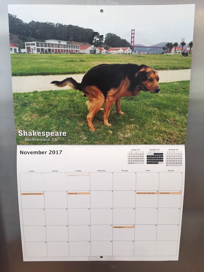 Kackende Hunde Kalender