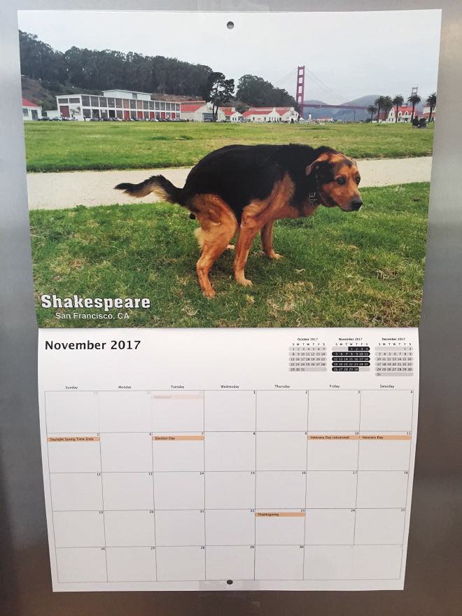 hunde kalender