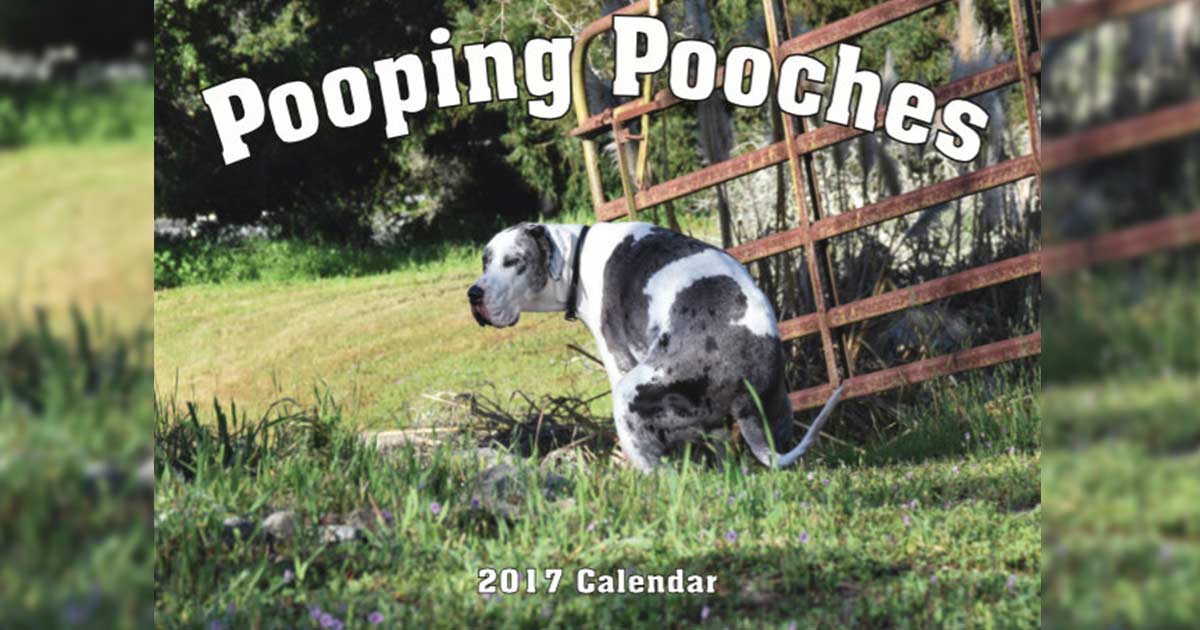 Der Kackende Hunde Kalender zum Scheißen schön! SLEAZEMAG